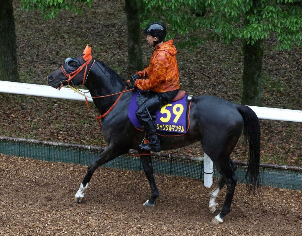 【競馬】安田記念(G1)　ジャンタルマンタルV！　川田将雅とのコンビで春のマイル王の座に就く